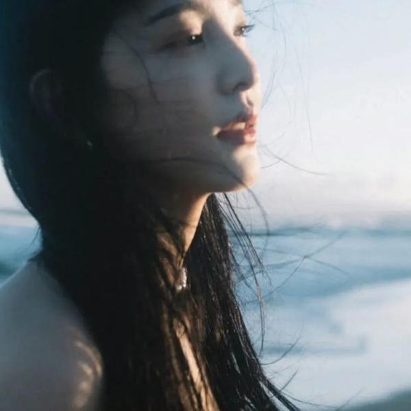 灿烂丁香